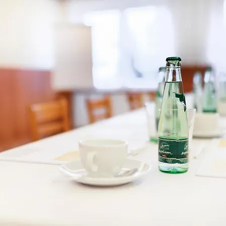 Schoenbrunn Hotel Schonbrunn (Saxony)