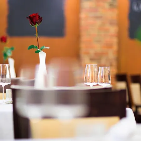 Schoenbrunn Hotel Hotel Schonbrunn (Saxony)