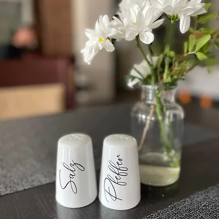 Schoenbrunn Hotel 酒店